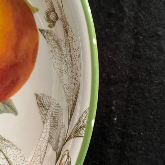 Vintage Discontinued Williams Sonoma Botanical Citrus Bowls/Plates - Picture 5 of 11
